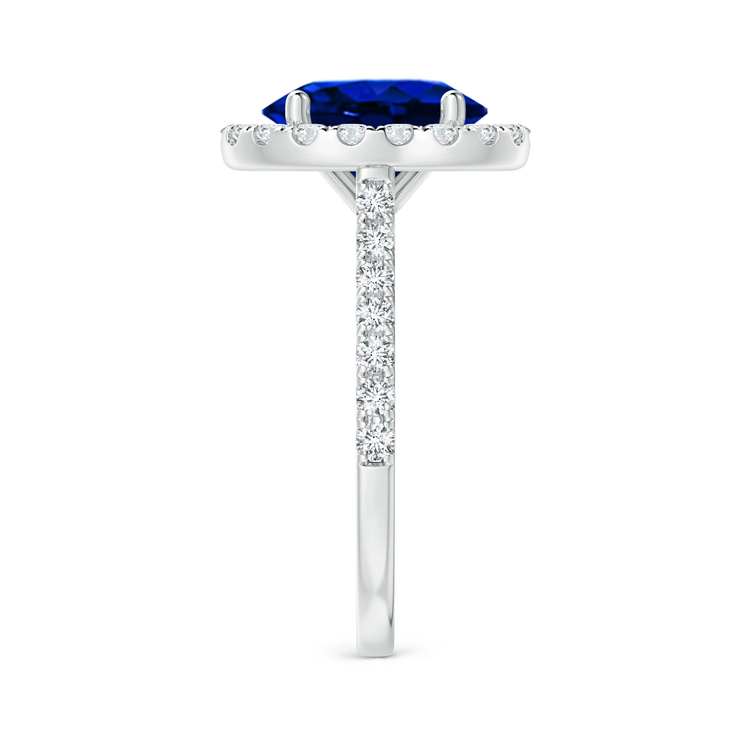 Oval Lab-Grown Blue Sapphire Diamond Halo Engagement Ring detail